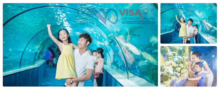 Entertainment service is to be Hanoi
Hanoi tourism